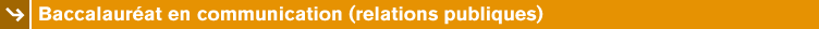 Baccalaur�at en communication (relations publiques)